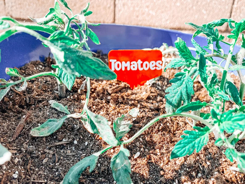 5 Pack Garden Stakes