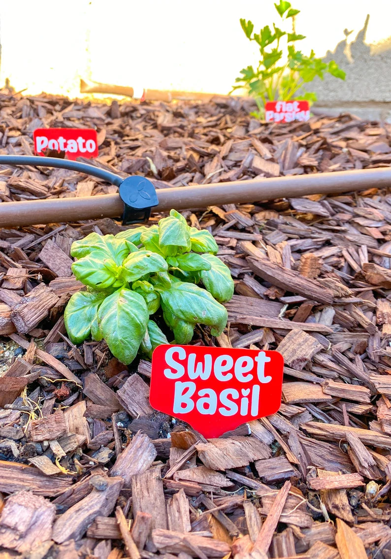 5 Pack Garden Stakes